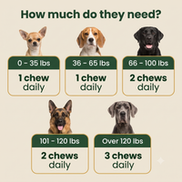 Woofio Hip & Joint Chews