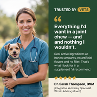 Woofio Hip & Joint Chews