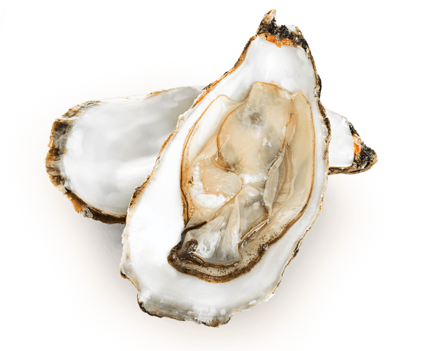 Glucosamine